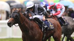 I believe your risky move paid off in the end as trx mooned recently. Bold Move Pays Off As Circus Maximus Wins St James S Palace Stakes