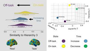 Having a strong command of evidence is also central to for instance, you may be asked how data in the graphic support a particular conclusion reached by the author of the passage. Reductions In Task Positive Neural Systems Occur With The Passage Of Time And Are Associated With Changes In Ongoing Thought Scientific Reports