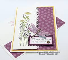 Stampin up card ideas 2021. Dandy Garden Sneak Peek Dragonfly Garden Bundle Stampin Up Mini Catalogue 2021 Stampin Up