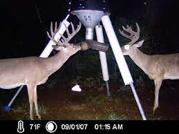 As well as the raccoons climbing up the legs on the feeder and hanging on the protector trying to eat through the but regarding the moultrie deer feeder! Coon Guards For Feeder Legs Texasbowhunter Com Community Discussion Forums