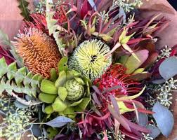 Image result for Protea micans