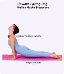 How To Do Upward Facing Dog In Yoga Upward Facing Dog Yoga Guide All Yoga Poses