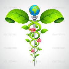 Caduceus Sign With Leaf And Flowers Box Frame Art Chakra Colors Sticker Collection
