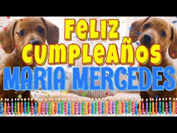 Jajja eres tremendo, felicidades !!! Feliz Cumpleanos Maria Mercedes Perros Hablando Gracioso Muchas Felicidades Youtube