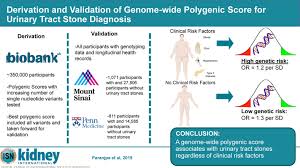 Image result for STONE Score