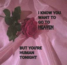 Check spelling or type a new query. Colors Halsey Quotes Tumblr Halsey Lyrics Tumblr Dogtrainingobedienceschool Com