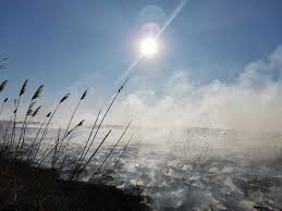 Un incendiu de vegetaţie a izbucnit, joi seara, în corbeanca. Update Pompierii Din Bucuresti Intervin Pentru News Ro