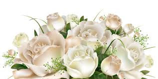 White Roses Decoration Png Clipart Picture Hd Flower Wallpaper Flower Clipart Flower Art Painting