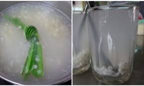 Kurangkan makanan rapu dan minuman berkafein. Resepi Milk Booster Ini Akan Meriahkan Lagi Susu Badan Anda Cubalah