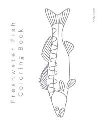 411 free coloring pages for adults that you can download and print. Freshwater Fish Coloring Book Colouring Books Steer Andy Steer Andy 9798690198626 Amazon Com Books