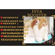 Kasihan melihat anak kucing yang ditinggalkan oleh induknya, berikut ini adalah cara merawat anak caranya dengan menepuk atau mengelus punggung anak kucing secara perlahan selama beberapa. Vitamin Bulu Gugur Gemukkan Kucing Cat Kucing Vitamin Powder Shopee Malaysia