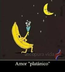 Amor Platonico Funny Illustration Funny Images Spanish Humor