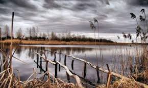 Cet article recense les zones humides de biélorussie concernées par la convention de ramsar. Puzzle Gratuit Lac Bielorussie 2658 Par Absolu Puzzle Com Paysage Fleur Nature