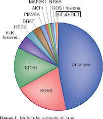 figure 1 from chipping away at the lung cancer genome