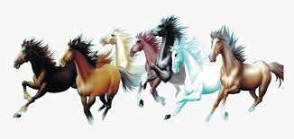Horse Painting Interior Design Services Room Galloping Png Clipart Horse Png Transparent Png Transparent Png Image Pngitem About 1% of these are riding gloves a wide variety of horse logo design options are available to you, such as material, use, and applicable people. png clipart horse png transparent png