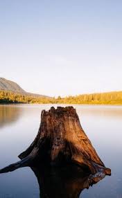 Samsung galaxy s21 wallpapers and samsung galaxy s21 ultra wallpapers. Samsung Galaxy S21 Ultra 5g Wallpapers Hd