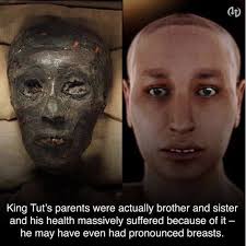 21 Weird Facts About King Tut King Tut Facts King Tut Weird Facts
