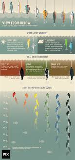 We did not find results for: View From Below Does Lure Color Matter Underwater Fix Com