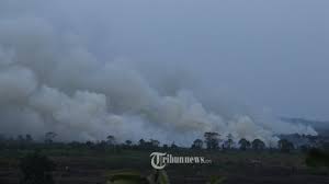 Maybe you would like to learn more about one of these? Wiranto Berharap Asap Kebakaran Hutan Dan Lahan Tak Ganggu Hubungan Dengan Negara Tetangga Tribunnews Com Mobile