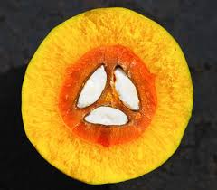 Image result for Canarium schweinfurthii