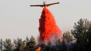 Kktc tarım ve doğal kaynaklar bakanı nazım çavuşoğlu, orman dairesi'ne hazırlıklı olmaları talimatını verdi. Cuhlslsvqq9ccm