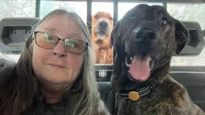 Fundraiser by Paula Green : Easing the Burden After Losing Ansel