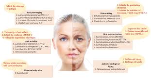 The Role of Probiotics in Skin Health and Related Gut–Skin Axis: A Review