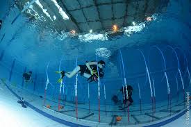 Plongee Sportive En Piscine Hippocampe Club De Massy