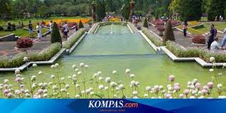 Winding through the mountains we come out lower down in the valley driving through fields of rice paddies, farms, and small villages, you arrive at a formal part of the. Bersemi Di Taman Bunga Halaman All Kompas Com