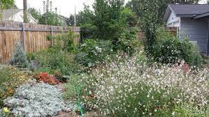 Check spelling or type a new query. Six Ways To Use Fallen Leaves In Your Garden Gardenrant