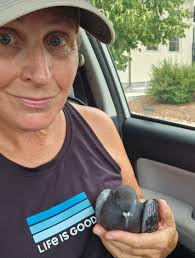 Deer and baby spotted outside window in Colorado