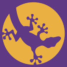 Clinica Veterinaria Evolución Animal