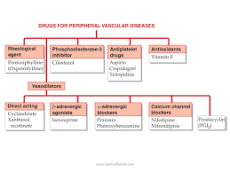 Pin By Cristina Minguillon On Agacnp Pharmacology Pharmacy Student Cardiovascular System
