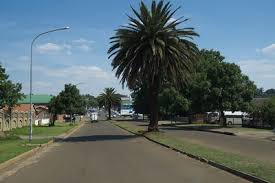 Image result for Syzygium komatiense