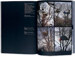 Bildergebnis für Nils Norman