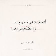 شعر المتنبي أنا صخرة الوادي إذا ما زوحمت عالم الأدب Words Quotes Literature Quotes Inspirational Quotes
