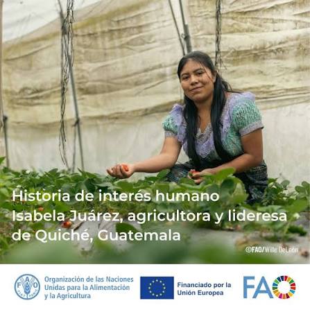 👩🏽‍🌾 #AñoDeLaAgricultura 🧡 Isabela Juárez, agricultora de Quiché, Guatemala🇬🇹 que, a través de la organización comunitaria y capacitación técnica mejorar la seguridad alimentaria y los medios de vida de su familia y