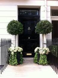 See more ideas about lollipop tree, lollipop, tree. 16 Lollipop Trees Ideas Garden Design Lollipop Tree Potted Trees