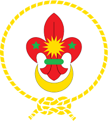 The badminton world federation (bwf) is the world governing body for badminton recognised by the international olympic committee (ioc) and international paralympic committee (ipc). Pin On Abm