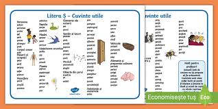 Daca omografe ,atunci copii accentul pe o,,si copii accentul pe primul i. Litera È™ Cuvinte Utile Teacher Made