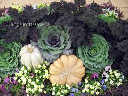 Ornamental Cabbage And Kale Container Garten Blumenkubel Fur Den Herbst Pflanzen