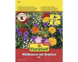 Květena luk a pastvin je do značné míry ovlivněna zásahy člověka. Lucni Kvetiny S Bylinami Floraself Select V Eshopu Hornbach Cz