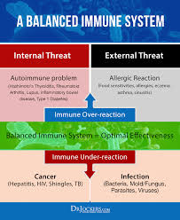 These individuals may also find themselves dealing with an infection that a person with a stronger immune system would not get. Immune Boosters 12 Natural Immune System Modulators Drjockers Com