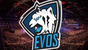 If you do not find the exact resolution you are looking for, then go for a native or higher resolution. Evos Mobile Legend Shefalitayal