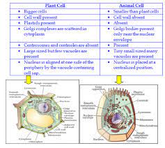 Cell can only be seen under a microscope. The Fundamental Unit Of Life Ncert Exemplar Page 3 Of 3 Dronstudy Com