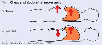 Respiratory Rate 4 Breathing Rhythm And Chest Movement Nursing Times