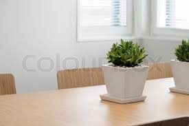 For the dining room, satch suggests the same lineup of plants you'd choose to display in the living room—that's because both rooms are places where family and friends congregate. Modern Dining Room With A Plant On The Stock Image Colourbox