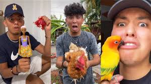 Funny Willy Tube Tik Tok 2021 (W/Tittles)