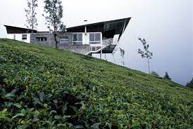 Dragon well tea plantations has great view and activities to know hangzhou tea plantation facts. House On A Tea Plantation Rma Architects Archello