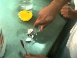تجربة تفاعل الصوديوم مع الماء Sodium And Water Youtube